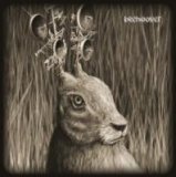 Beehoover - Heavy Zooo